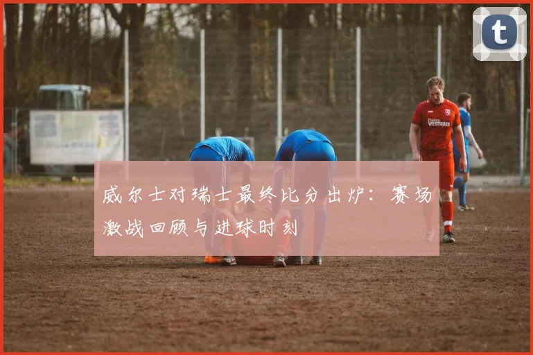 威尔士对瑞士最终比分出炉：赛场激战回顾与进球时刻