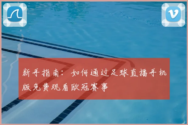 新手指南：如何通过足球直播手机版免费观看欧冠赛事